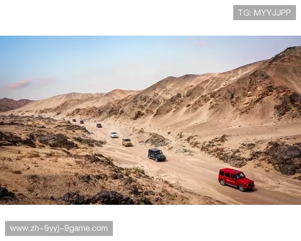 黑白王朝新纪元探索：从古老传承到未来文明的崭新篇章